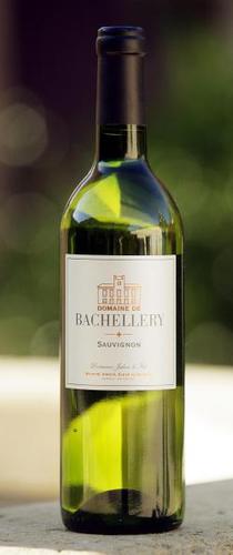 Sauvignon - Domaine de Bachellery VdP - Bílé francouzské víno