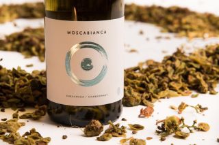 ☀️🍷 Léto se sice pomalu chýlí ke konci… ale my pro vás máme víno, které vás vrátí zpět do pohody letních dnů. Lehké,...